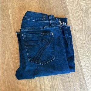 7 for all Mankind Dojo Jean